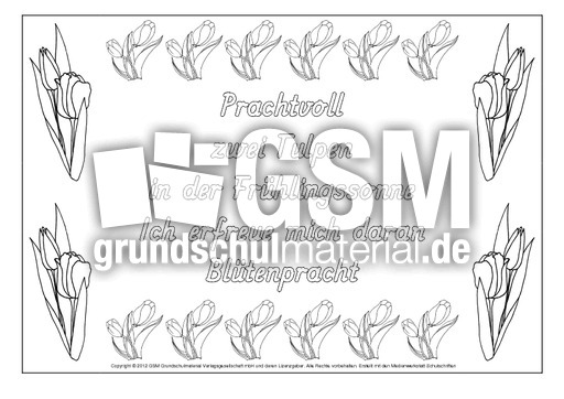 Tulpe-Elfchen-2-GS.pdf